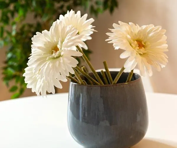 Apartman Baixa Charming Lisboa